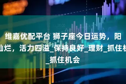 维嘉优配平台 狮子座今日运势，阳光灿烂，活力四溢_保持良好_理财_抓住机会