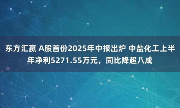 东方汇赢 A股首份2025年中报出炉 中盐化工上半年净利5271.55万元，同比降超八成