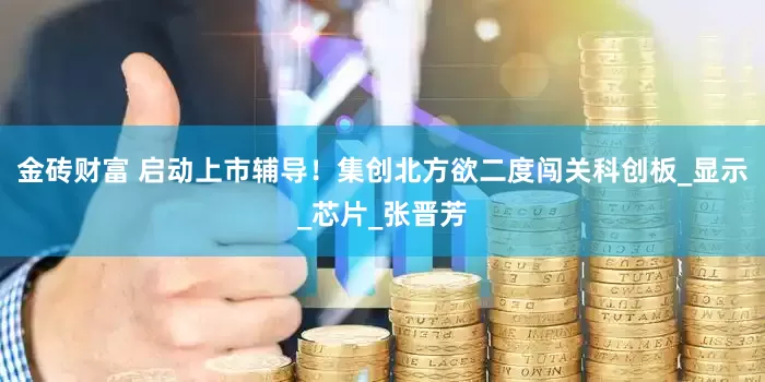 金砖财富 启动上市辅导！集创北方欲二度闯关科创板_显示_芯片_张晋芳