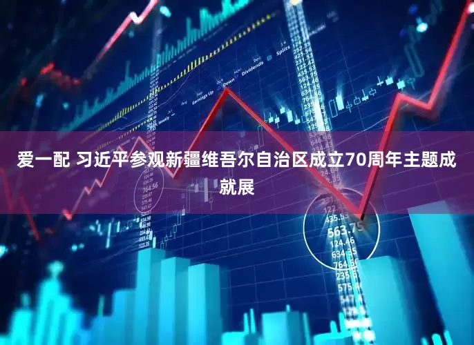 爱一配 习近平参观新疆维吾尔自治区成立70周年主题成就展